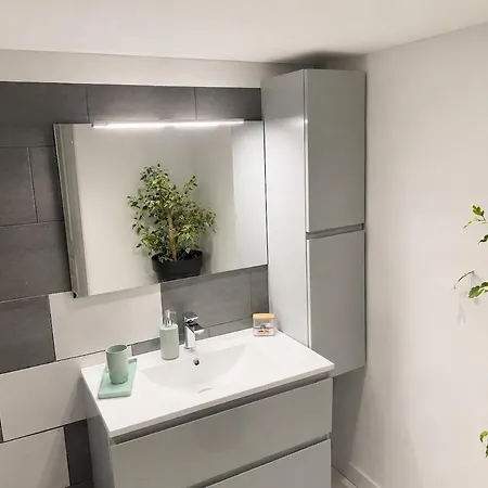 Appartement La Clef Des Landes Magescq